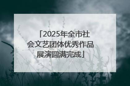 2025年全市社会文艺团体优秀作品展演圆满完成