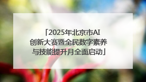 2025年北京市AI创新大赛暨全民数字素养与技能提升月全面启动