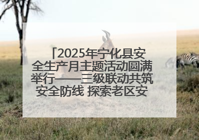 2025年宁化县安全生产月主题活动圆满举行——三级联动共筑安全防线 探索老区安全发展新路径