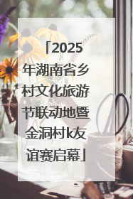 2025年湖南省乡村文化旅游节联动地暨金洞村k友谊赛启幕