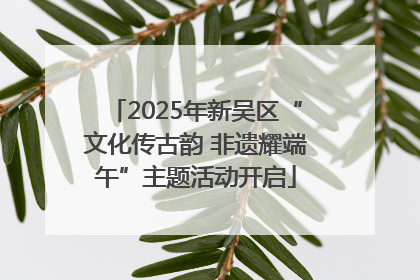 2025年新吴区“文化传古韵 非遗耀端午”主题活动开启