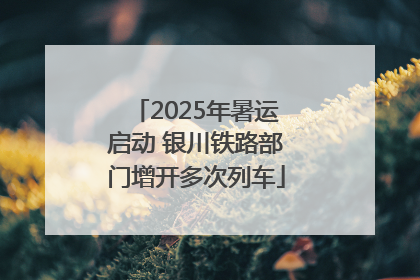 2025年暑运启动 银川铁路部门增开多次列车