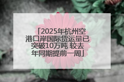 2025年杭州空港口岸国际货运量已突破10万吨 较去年同期提前一周