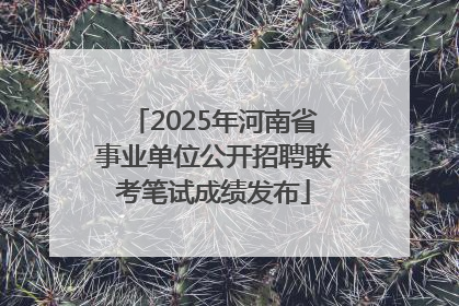 2025年河南省事业单位公开招聘联考笔试成绩发布