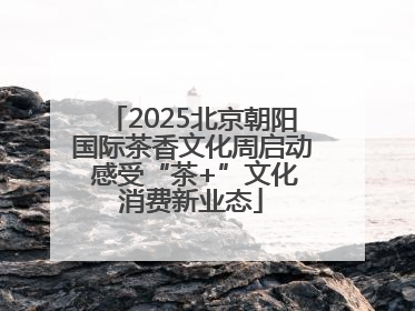 2025北京朝阳国际茶香文化周启动 感受“茶+”文化消费新业态