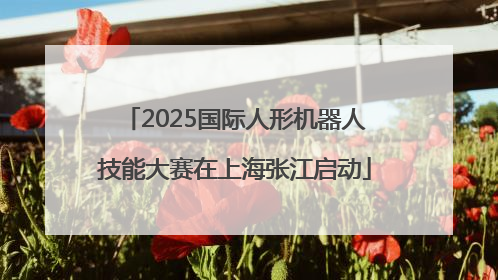 2025国际人形机器人技能大赛在上海张江启动