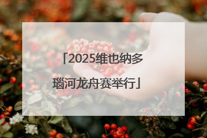 2025维也纳多瑙河龙舟赛举行