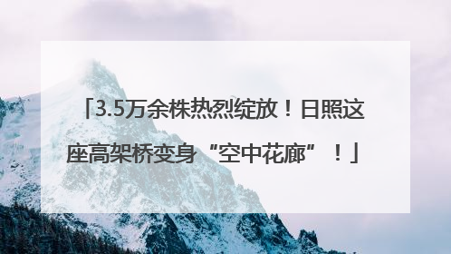 3.5万余株热烈绽放！日照这座高架桥变身“空中花廊”！
