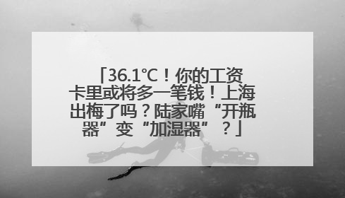 36.1℃！你的工资卡里或将多一笔钱！上海出梅了吗？陆家嘴“开瓶器”变“加湿器”？