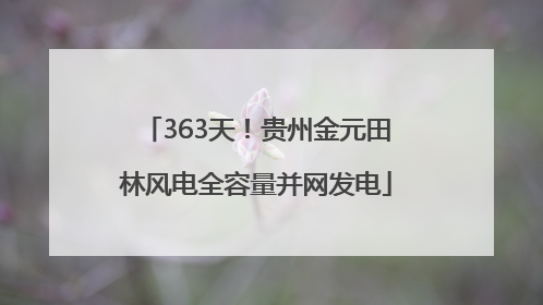 363天！贵州金元田林风电全容量并网发电