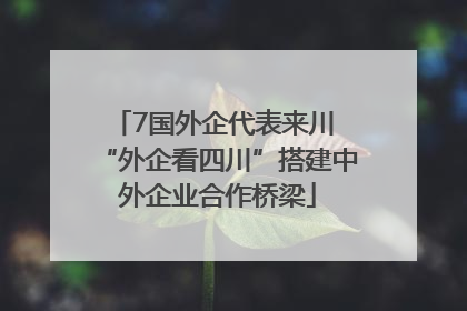 7国外企代表来川 “外企看四川”搭建中外企业合作桥梁