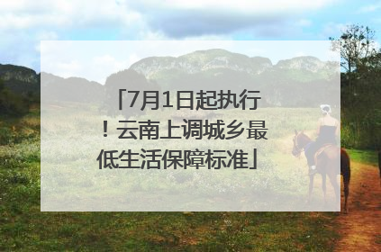 7月1日起执行！云南上调城乡最低生活保障标准