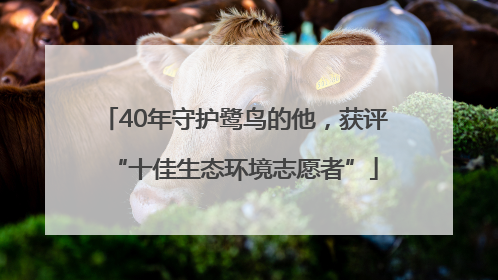 40年守护鹭鸟的他，获评“十佳生态环境志愿者”