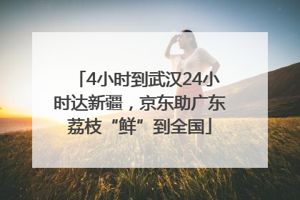 4小时到武汉24小时达新疆，京东助广东荔枝“鲜”到全国