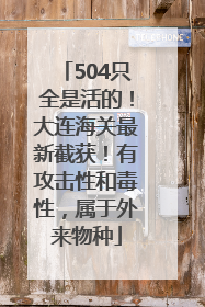 504只全是活的！大连海关最新截获！有攻击性和毒性，属于外来物种