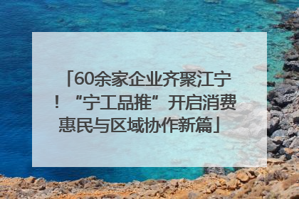 60余家企业齐聚江宁！“宁工品推”开启消费惠民与区域协作新篇