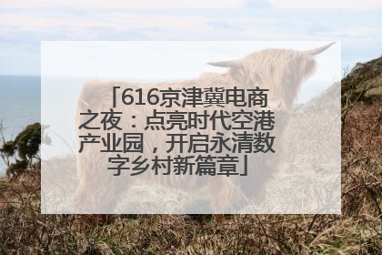 616京津冀电商之夜：点亮时代空港产业园，开启永清数字乡村新篇章
