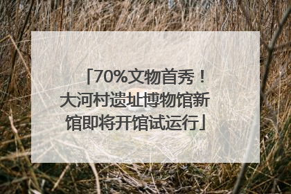 70%文物首秀！大河村遗址博物馆新馆即将开馆试运行