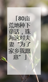 80亩荒地种下童话，珠海这对夫妻“为了家乡我愿意”
