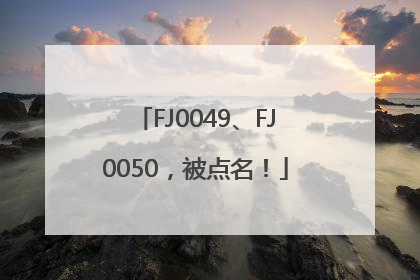 FJ0049、FJ0050，被点名！